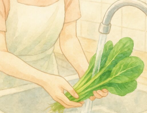 3新鮮な小松菜の根元の土を丁寧に洗い流している日本人女性の手元。